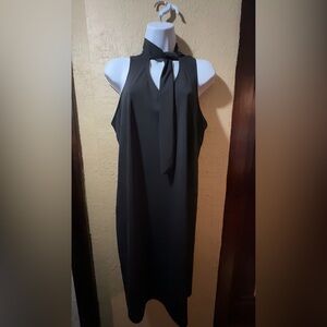 Elegant Black  Dress